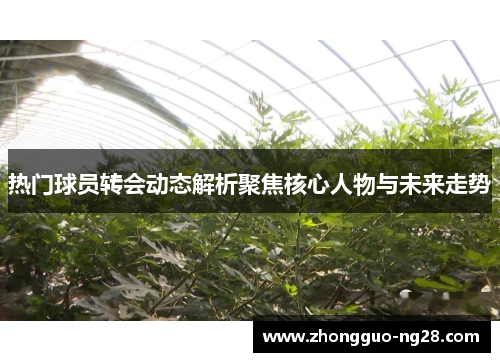 热门球员转会动态解析聚焦核心人物与未来走势