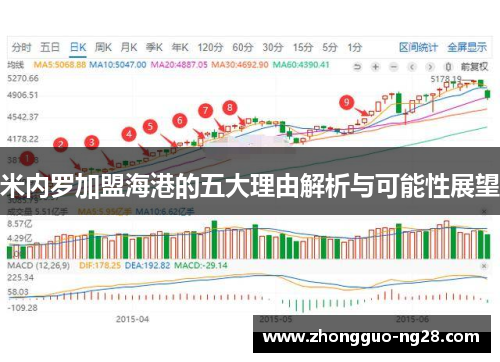 米内罗加盟海港的五大理由解析与可能性展望