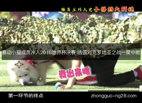 暴动小猫成员冲入2018世界杯决赛 法国对克罗地亚之战一度中断